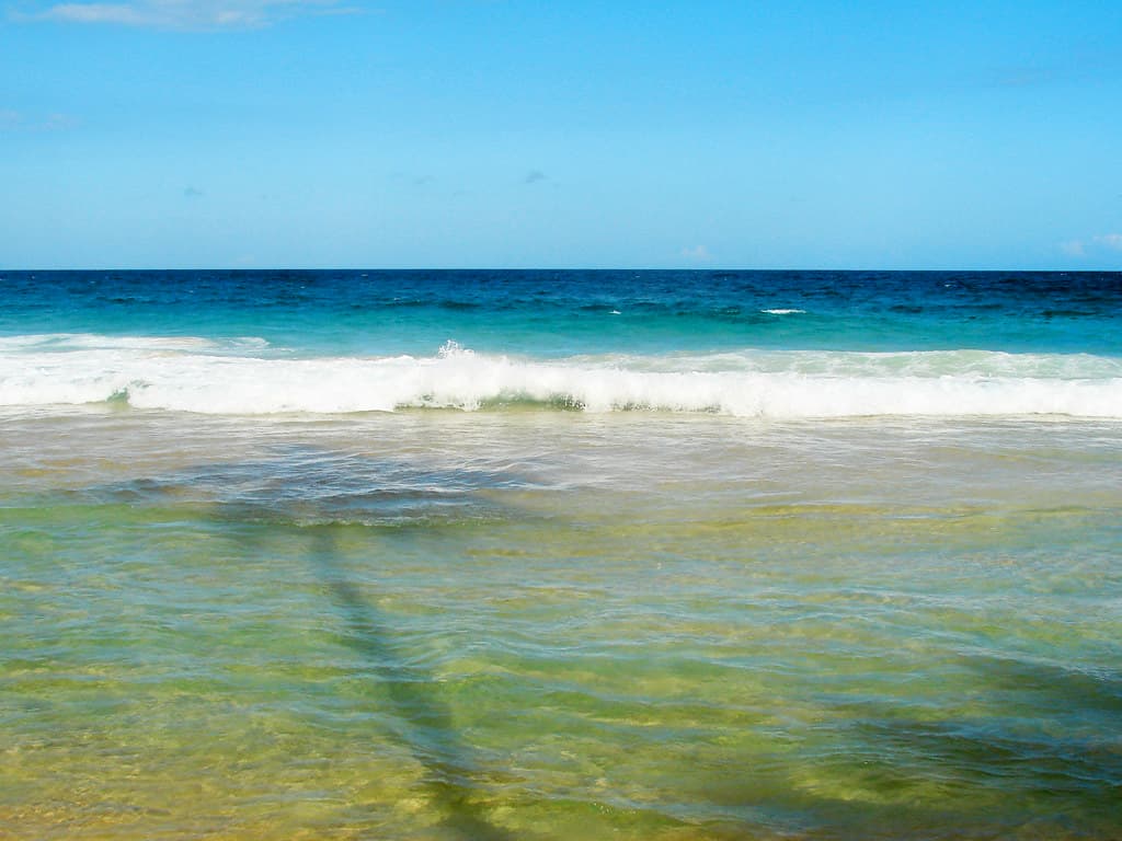 Playa Cepe