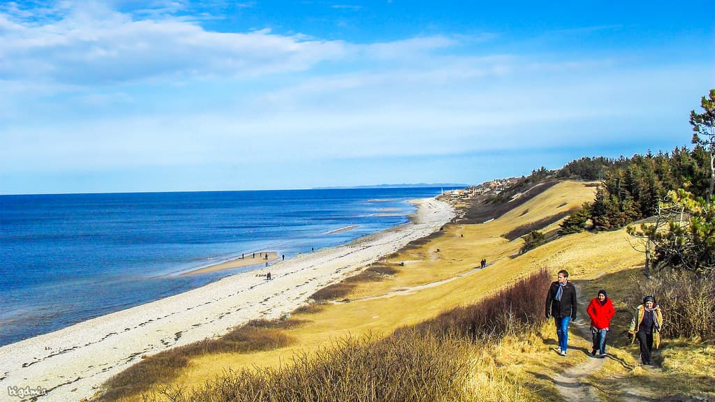 Stængehus Beach