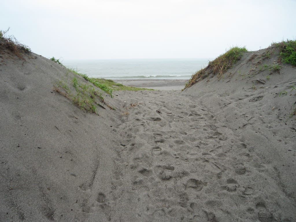 Shibushi Beach