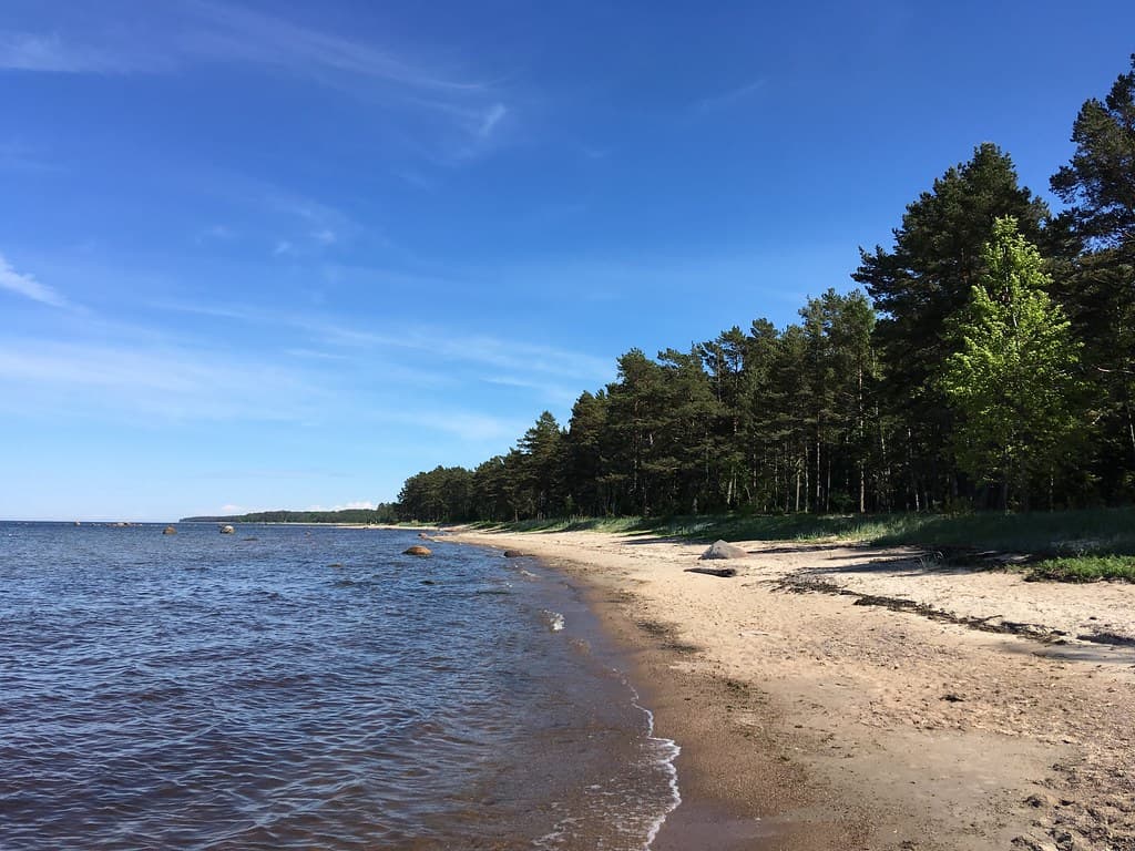 Altja Beach