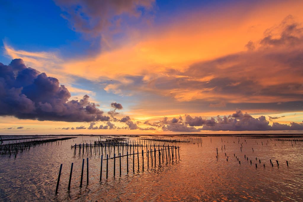 Cigu Beach