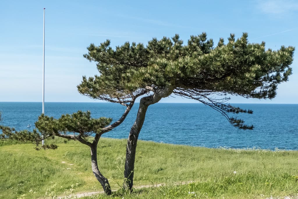 Lynæs Beach