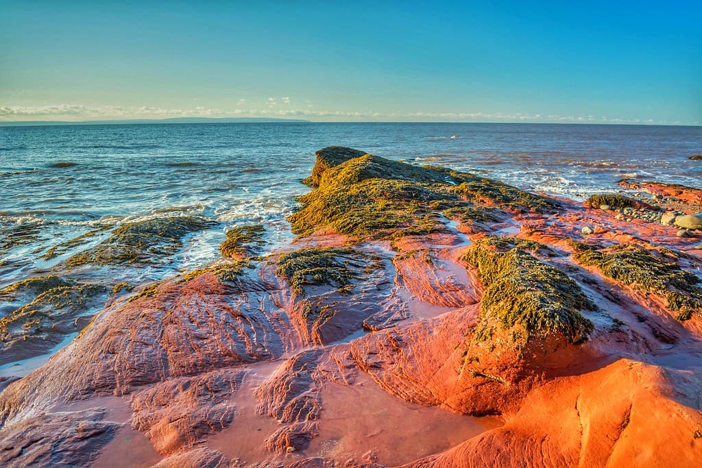 Alma Beach