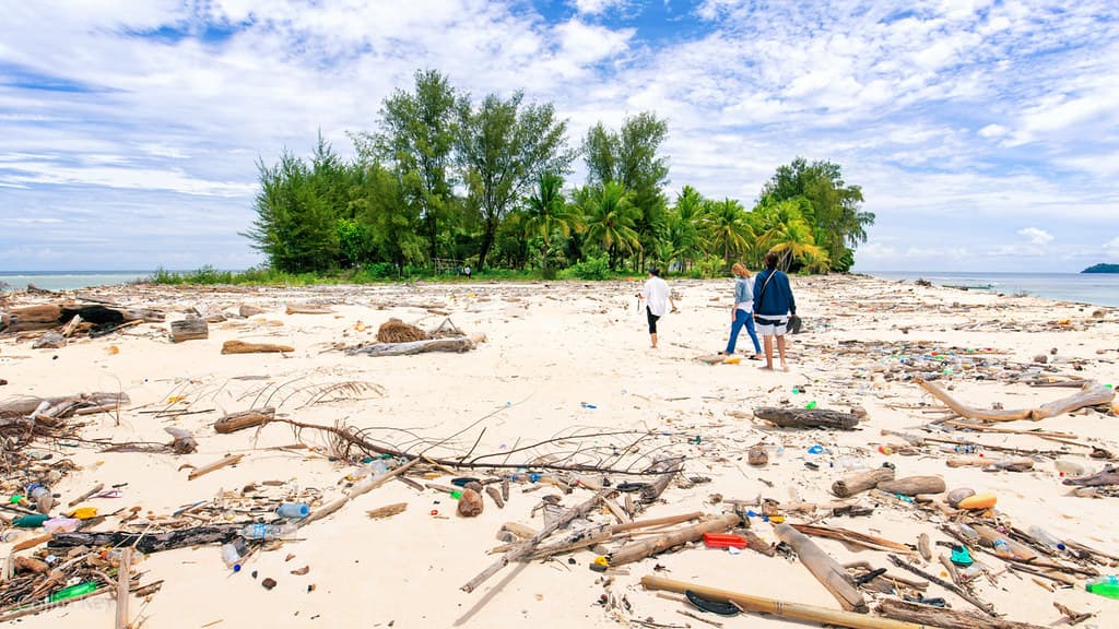 White Sands Island Beach