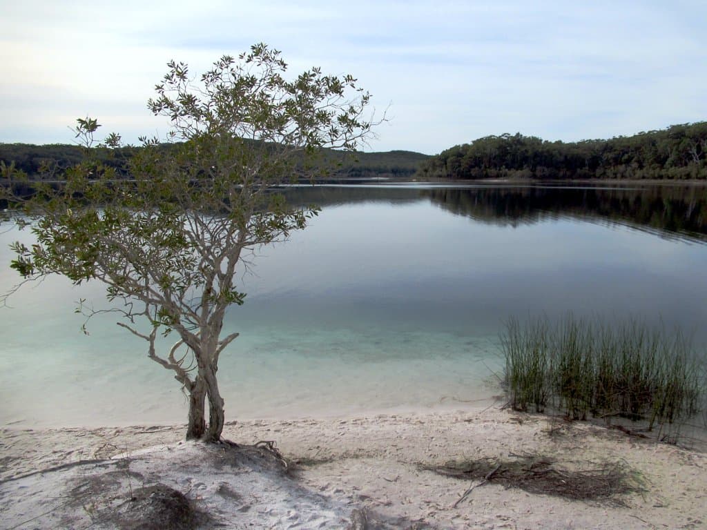 Lake McKenzie Beach