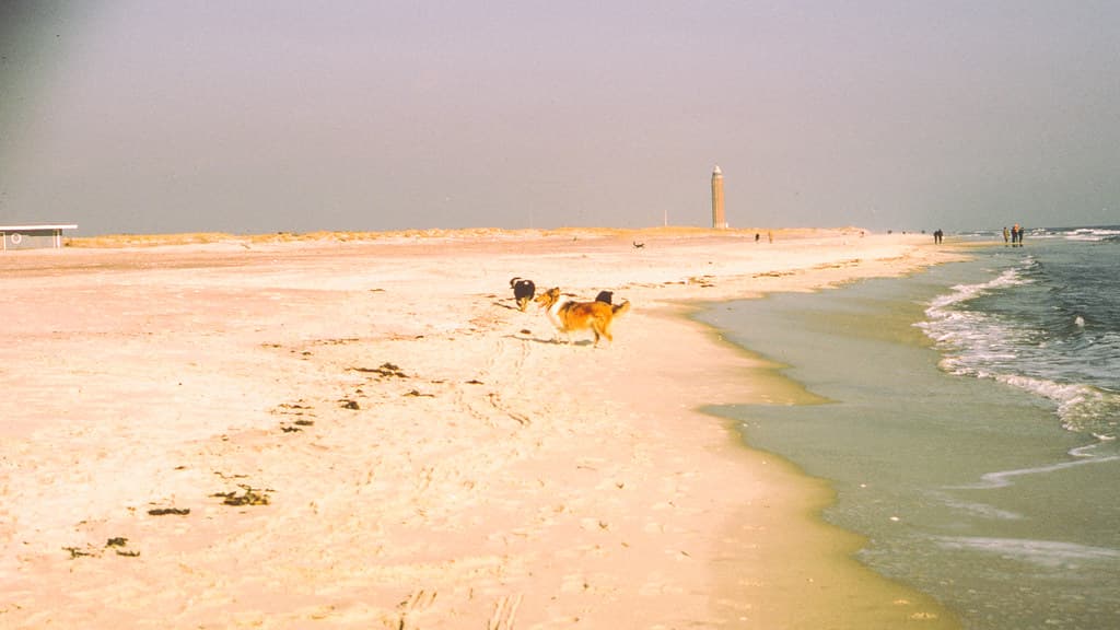 Robert Moses State Park Beach