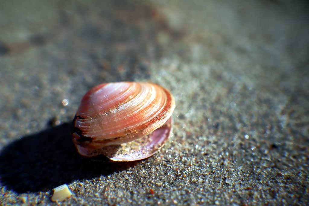 Kaberneeme Beach