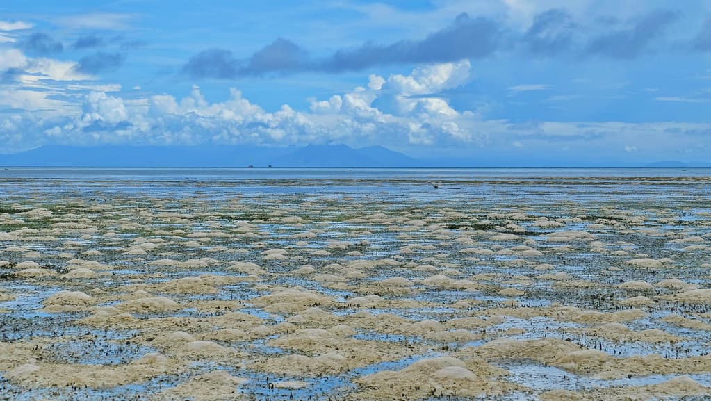 Dodola Island Beach