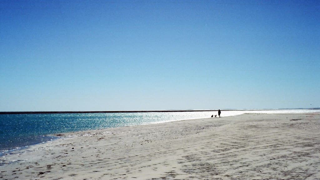Monkey Beach