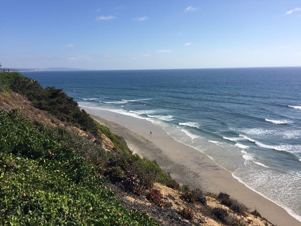 Bluff Cove Lagoon Beach