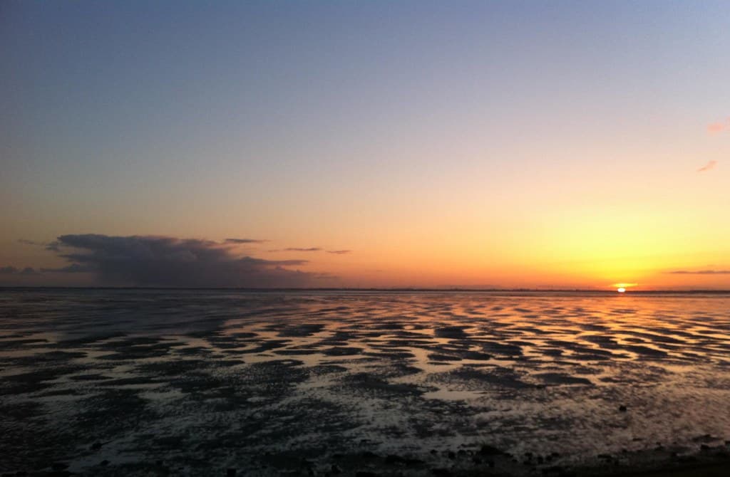 Hansweert Coast Beach