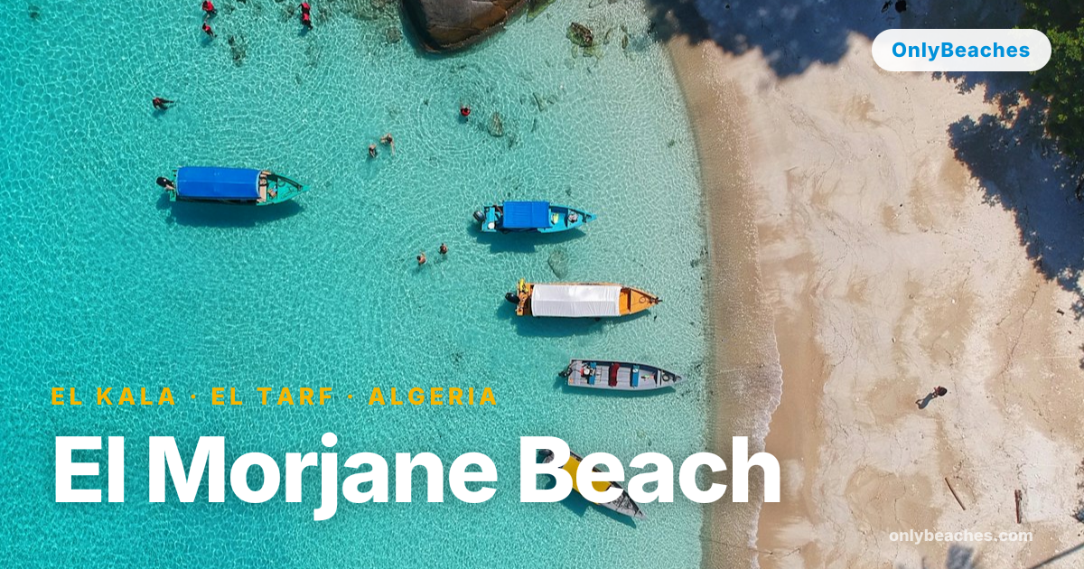 El Morjane Beach: Golden Sands in El Kala, Algeria | OnlyBeaches