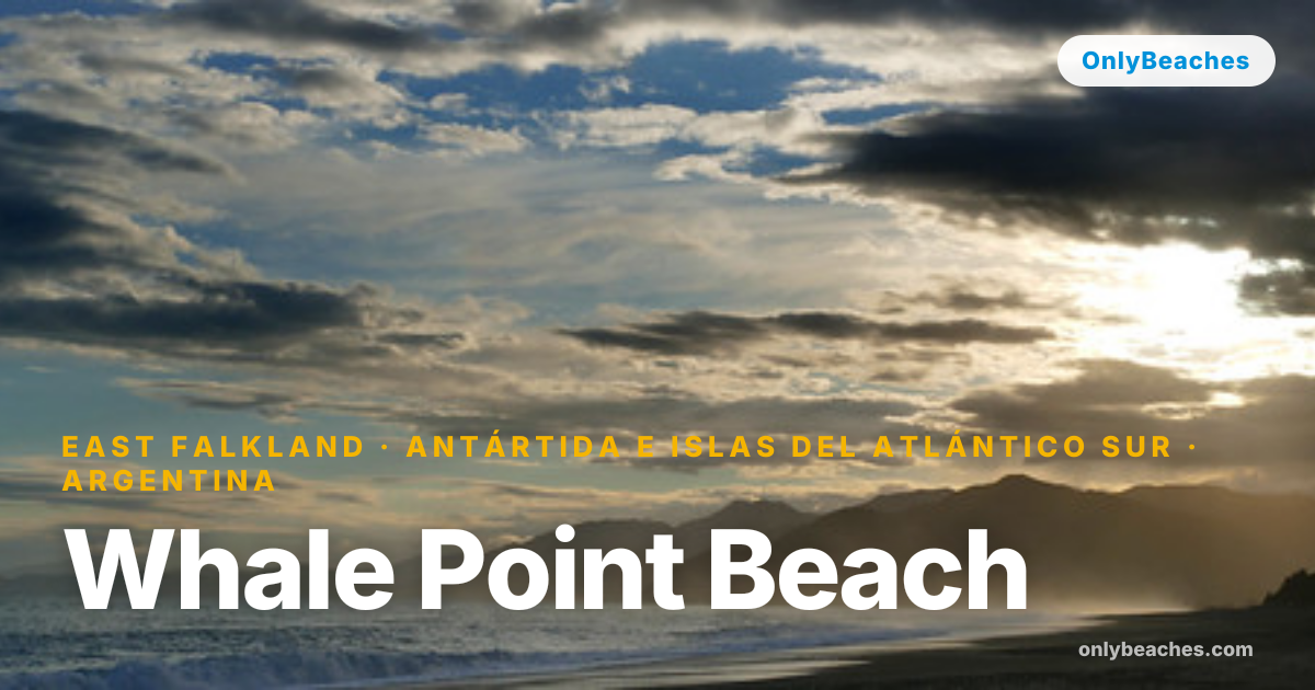 Whale Point Beach: East Falkland's Wildlife Sanctuary | OnlyBeaches