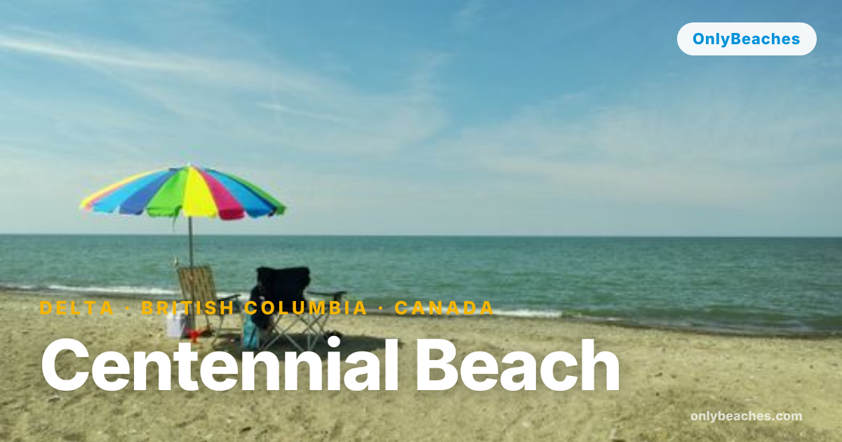Centennial Beach, Delta BC: Sandy Shores & Birdwatching | OnlyBeaches