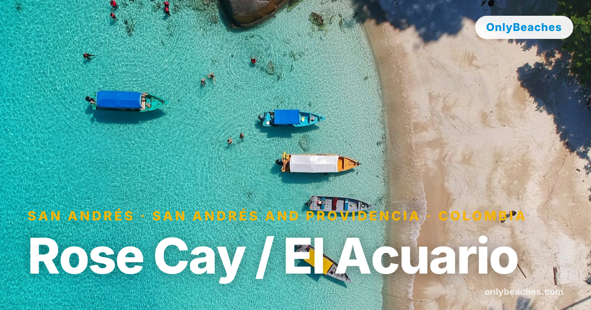 Rose Cay / El Acuario: San Andrés Snorkeling Paradise | OnlyBeaches