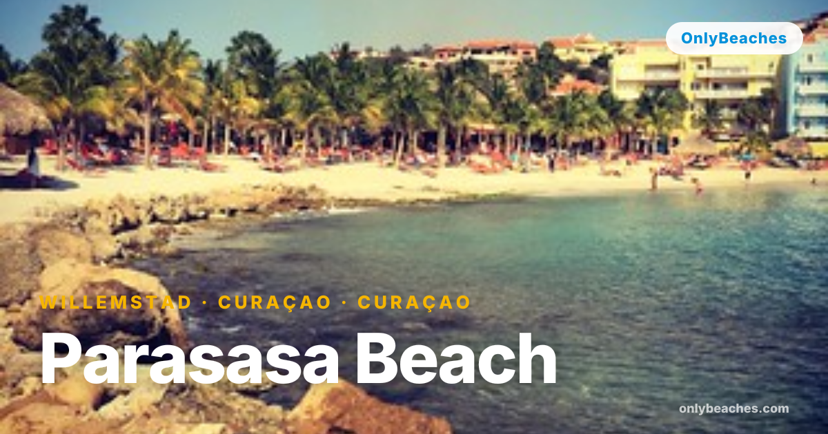 Parasasa Beach, Curaçao: Snorkel & Relax Near Willemstad | OnlyBeaches