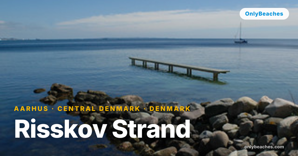 Risskov Strand: Aarhus's Woodland Beach with Baltic Waves | OnlyBeaches