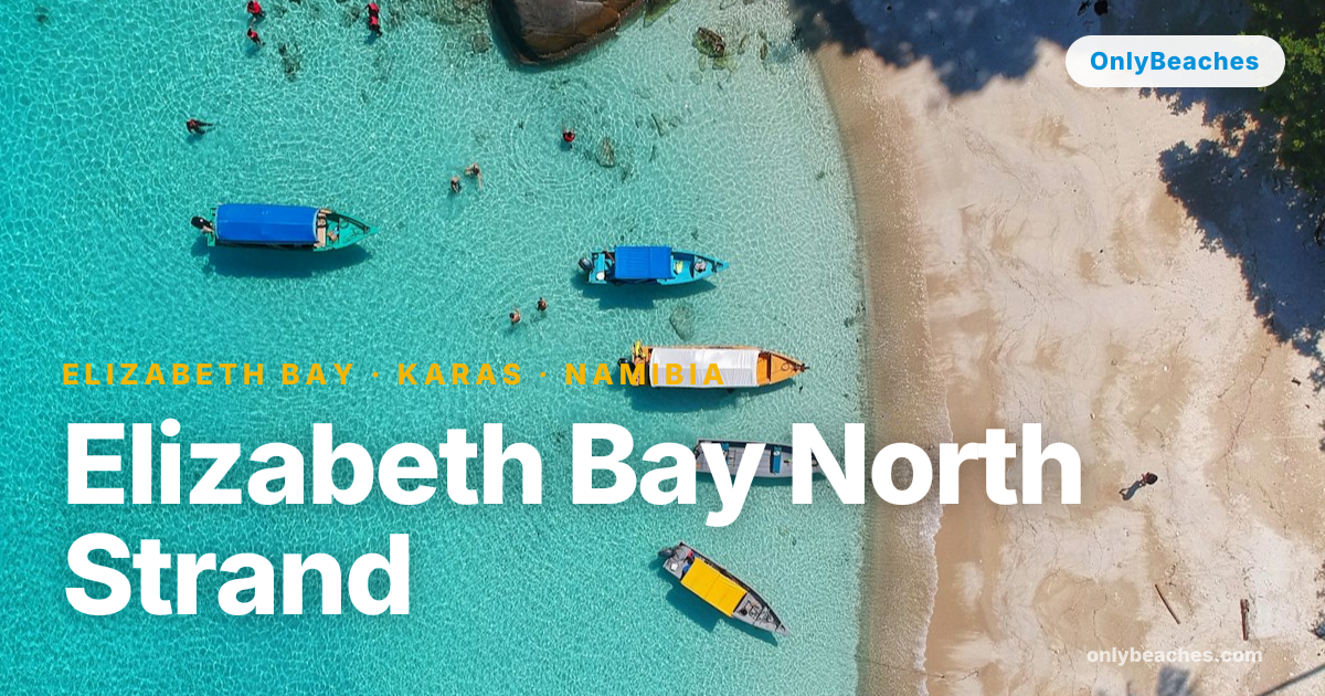 Elizabeth Bay North Strand: Remote Sands of Namibia's Coast | OnlyBeaches