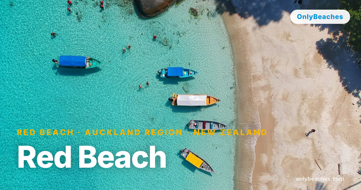 Red Beach Auckland: Swimming & Sun on Hibiscus Coast | OnlyBeaches
