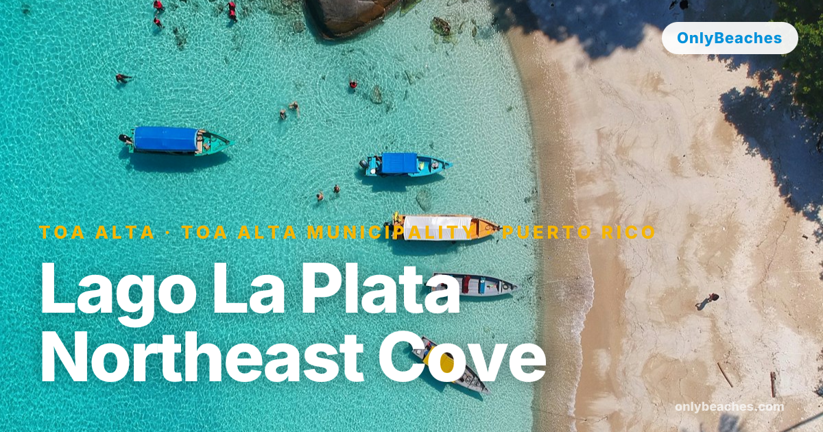 Lago La Plata Northeast Cove: Toa Alta's Hidden Waters | OnlyBeaches