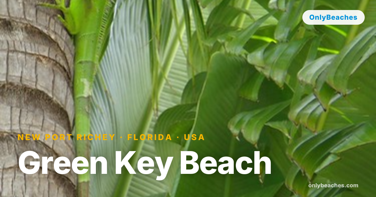 Green Key Beach: New Port Richey's Hidden Gulf Shore Escape | OnlyBeaches