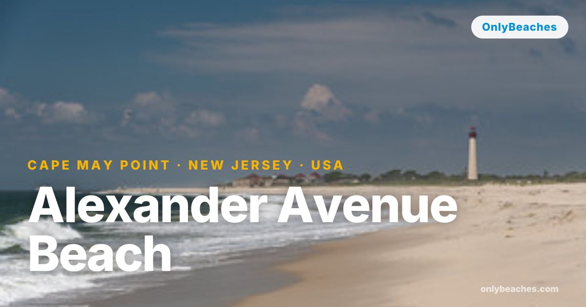 Alexander Avenue Beach: Cape May Point's Secluded Shore | OnlyBeaches