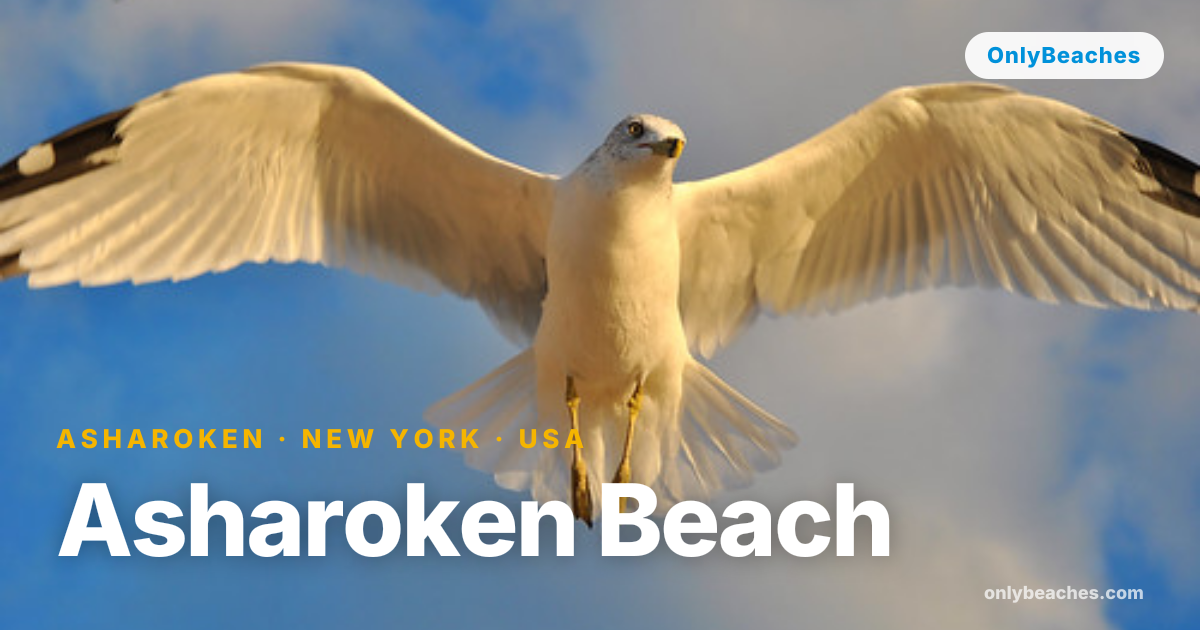 Asharoken Beach: Long Island's Quiet Sunset Sanctuary | OnlyBeaches