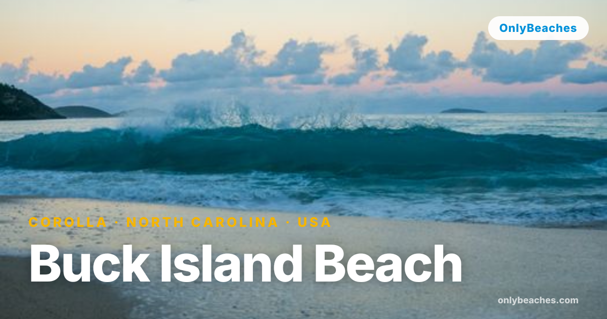 Buck Island Beach: Corolla's Hidden Shore Beyond the Horses | OnlyBeaches