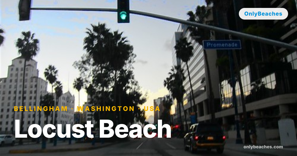 Locust Beach: Bellingham's Quiet Family Shoreline | OnlyBeaches